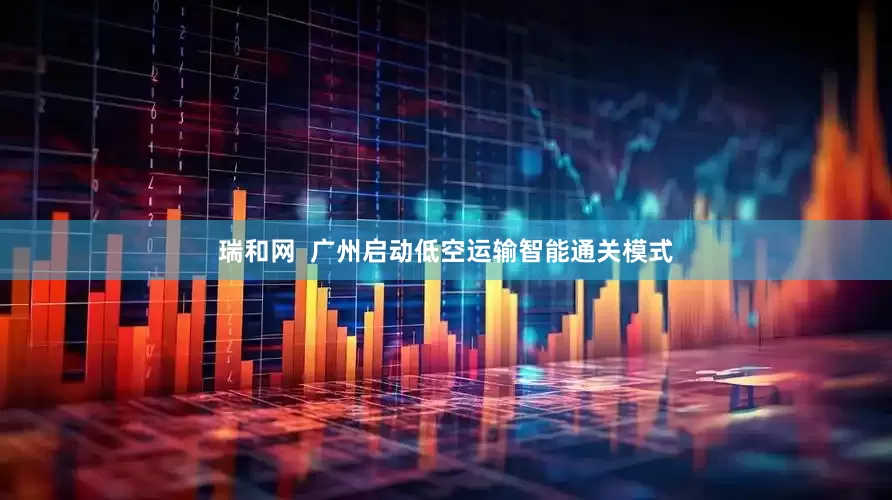 瑞和网  广州启动低空运输智能通关模式