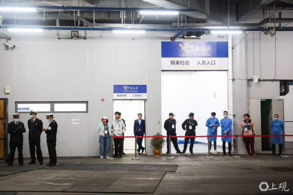 华亿配资 动力图｜申城一下子来了这么多好马，马术盛宴在即