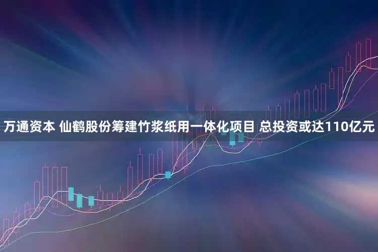万通资本 仙鹤股份筹建竹浆纸用一体化项目 总投资或达110亿元