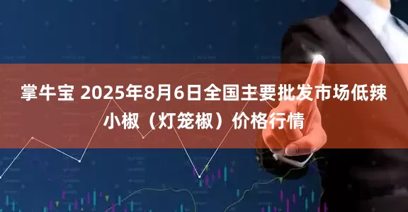 掌牛宝 2025年8月6日全国主要批发市场低辣小椒（灯笼椒）价格行情