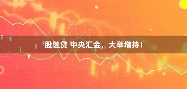 股融贷 中央汇金，大举增持！