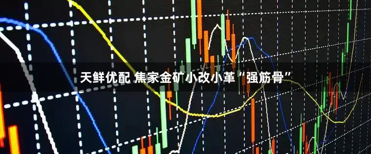 天鲜优配 焦家金矿小改小革“强筋骨”