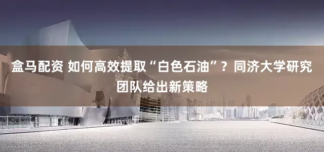 盒马配资 如何高效提取“白色石油”？同济大学研究团队给出新策略